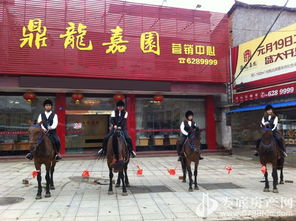 歡樂(lè)五一，來(lái)鼎龍嘉園免費(fèi)騎馬玩?。埬緲I(yè)邀您共度佳節(jié)